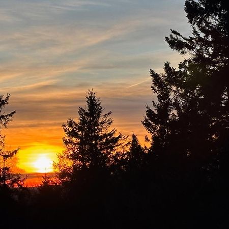 Ferienwohnung Wolkenplatz Winterberg Bagian luar foto
