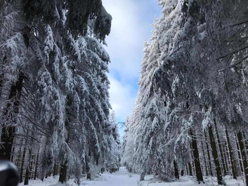 Ferienwohnung Wolkenplatz Winterberg Bagian luar foto