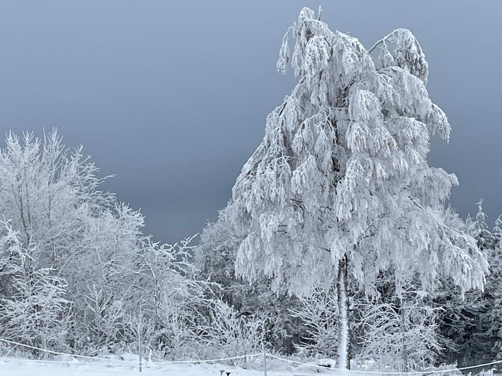Ferienwohnung Wolkenplatz Winterberg Bagian luar foto
