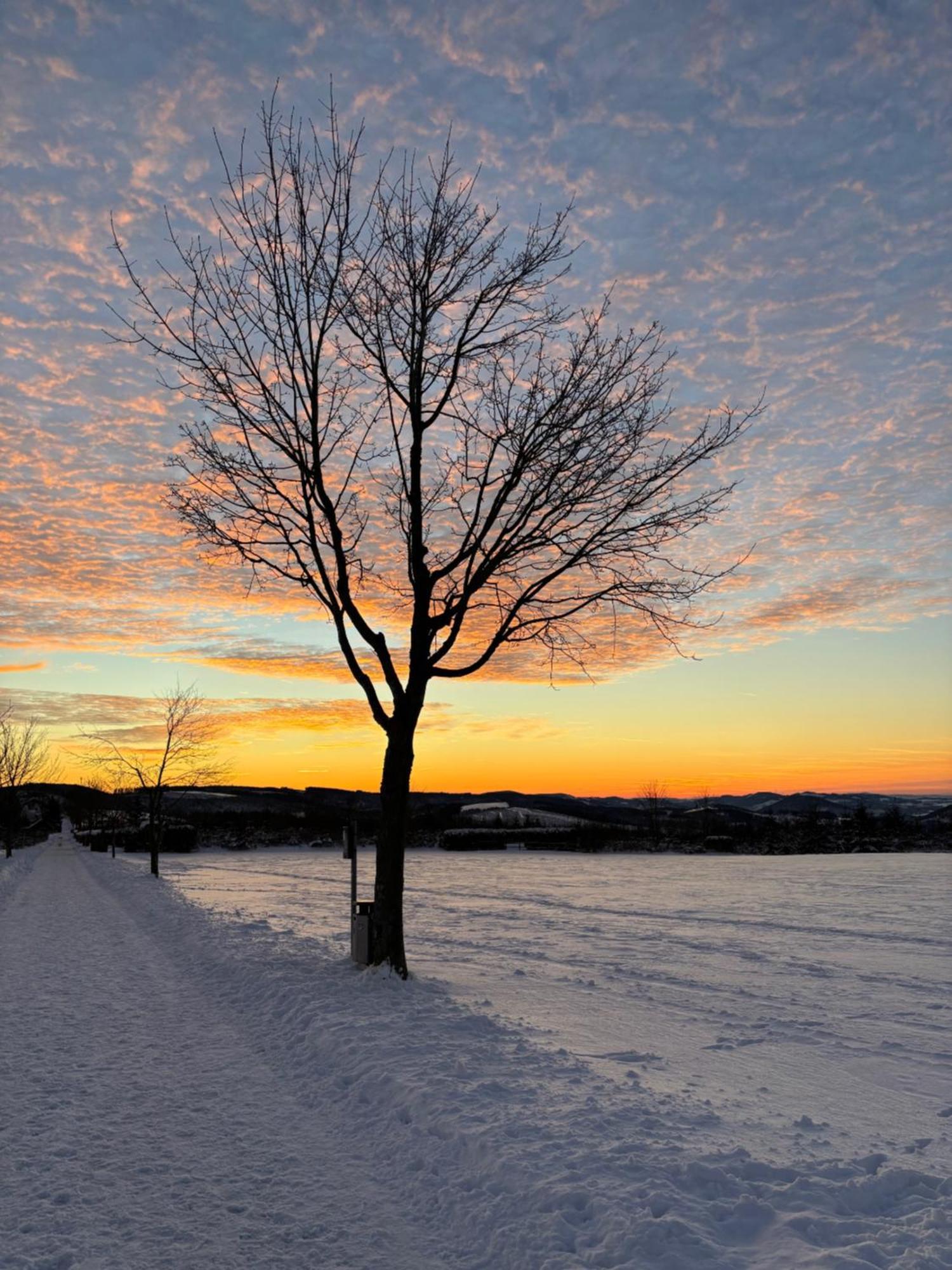 Ferienwohnung Wolkenplatz Winterberg Bagian luar foto