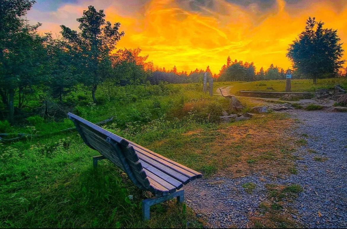 Ferienwohnung Wolkenplatz Winterberg Bagian luar foto